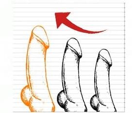 阴茎上使用Rhino Gold凝胶产生阳性结果